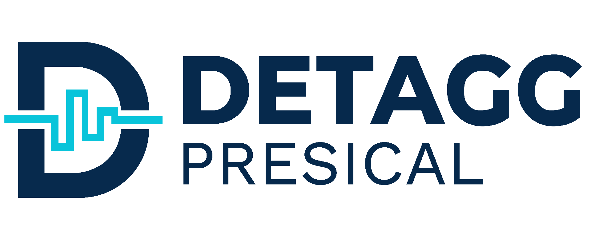 PT Detagg Presical Indonesia logo