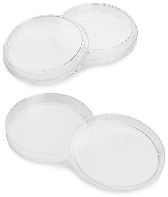 Dish, Petri, 15 x 100 mm