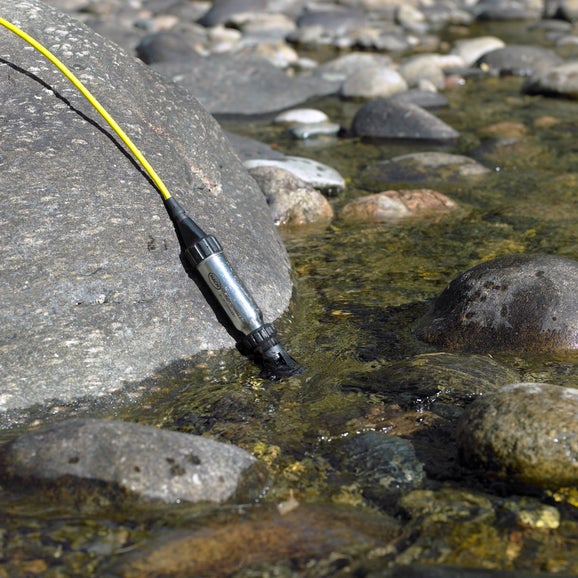 Intellical LDO101 Field Luminescent/Optical Dissolved Oxygen (DO) Sensor, 5 m Cable